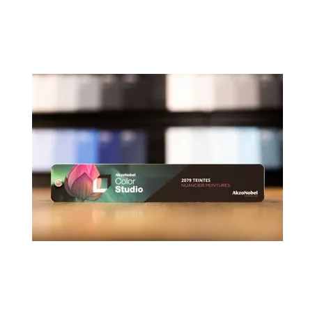 Aakzo Nobel Color Studio