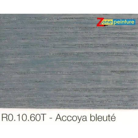 Lasure Cetol Blx Pro 